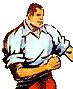 DICK FULMINE
