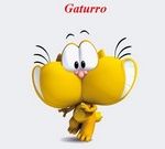 GATURRO 1